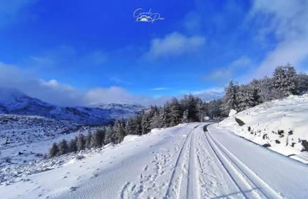 Pure Mountain - Serra da Estrela - Foto 4