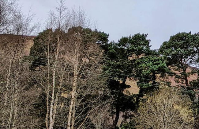 Luxury 2 Bedroom Caravan in Stunning Location - Foto 16