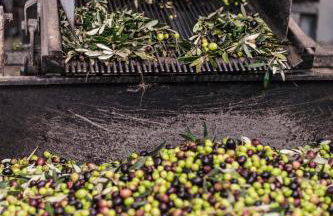 Tenuta San Felice - Foto 43