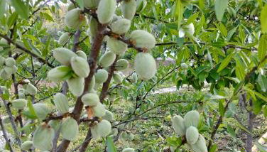 Casinha das Estrelas - Photo 4