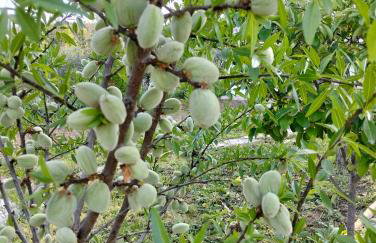 Casinha das Estrelas - Photo 4