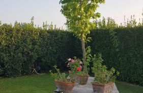 leupupe relax cultura mare monti - Foto 14