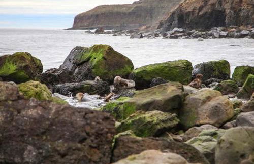 Honey Bee Cottage - Foto 23