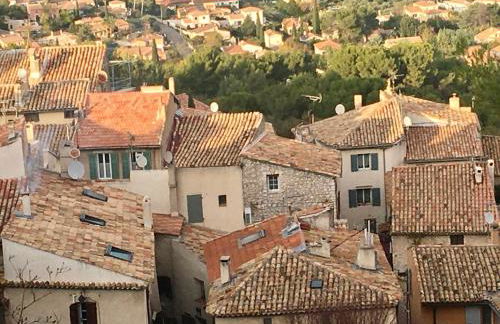 L’île aux fleurs - Foto 30