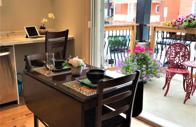 Ottawa Center 1 Bedroom Apartment near Bank St - Photo 1