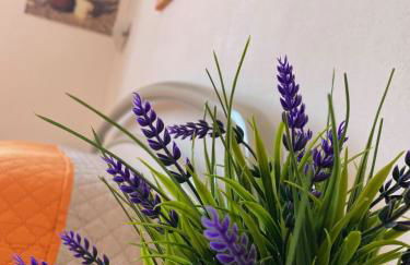 Casa Blu di Pomposa Vista Mare - Photo 38