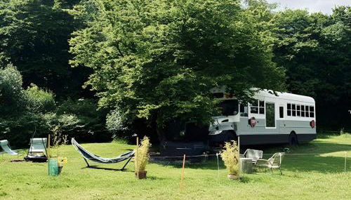 American School Bus Retreat with Hot Tub in Sussex Meadow - Foto 2, Garden