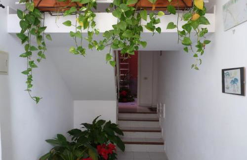 Apartamentos Bellavista Gomera - Foto 41