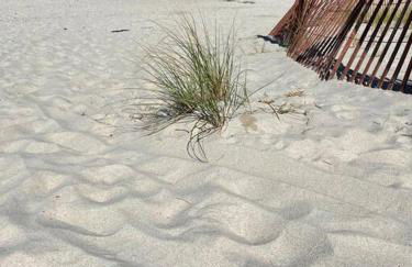 56Beachway-Private beach Refreshed in 2022 Cozy - Foto 13