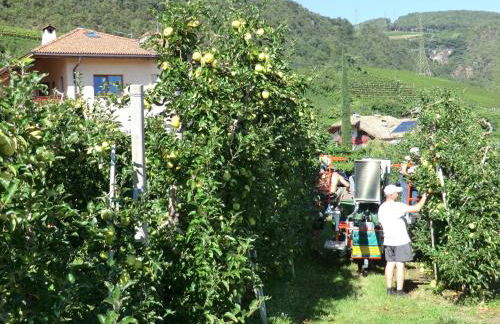 Huebenburg - Foto 46