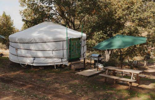Cosy yurt at a nature retreat in Sequoia N Forest - Foto 8