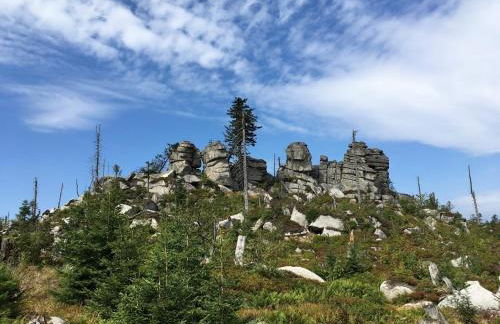 Helle, lichtdurchflutete Ferienwohnung im Herzen des Bayerischen Waldes, Nationalparknähe - Foto 43