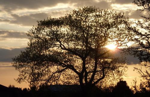 Ferienwohnung Radszys - Foto 31