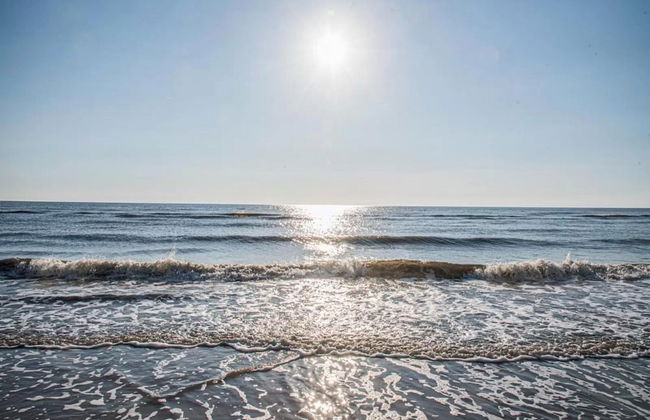 Aalernhus Residenzen in St.peter-ording - Photo 32