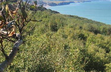 Je m'y plais - Foto 45