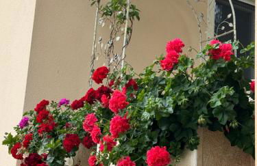 Villa Dei Fiori - casa vacanza - Foto 39