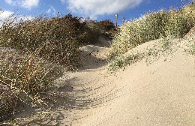 St Awaries - Foto 26