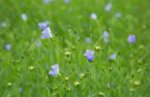 ALLGÄU HAUS - Foto 41
