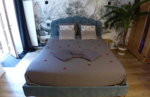 Appartement balnéothérapie et sauna hyper centre - Foto 15