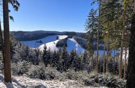 Ferienwohnung am Schneeberg - Foto 77