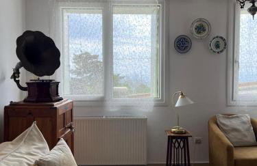 Aegean Breeze in DYO CHORIA TINOS - Foto 29