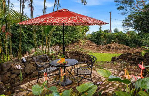 Orchid Hale - Foto 58