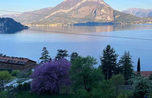 La punta di Varenna - Foto 18