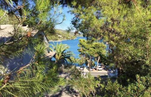 Villa Marija - Photo 46