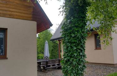 Domki Brzozówka w Bieszczadach - Foto 15