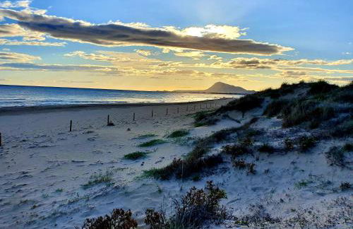 Apartamento con piscina en Oliva Nova - Foto 27