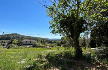 Cabanon provençal - Foto 6