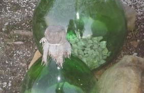 Agriturismo il Bacucco - Foto 45