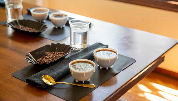 Cata de café en Kigali - Foto 2, Tazas de café recién preparado