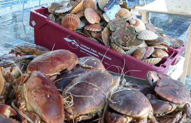 A Green Break in a Sustainable Holiday Home - Foto 15