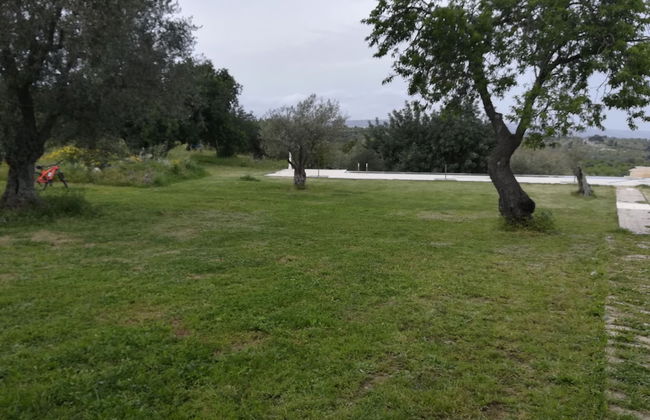 TerraMater - Foto 18