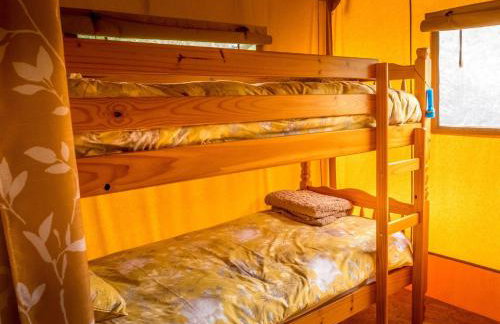 Tent 2 Tangleweood - Ukc4717 - Foto 16