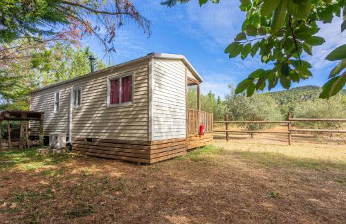 L’oliveraie Écuries Mas di Gau - Foto 5