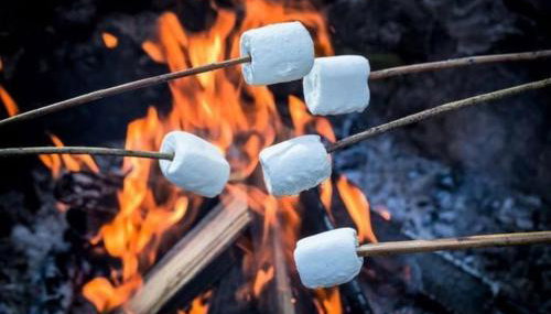 Sunset Shepherds Hut - Foto 4