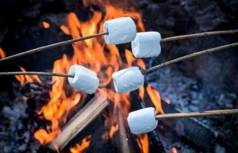 Sunset Shepherds Hut - Foto 4