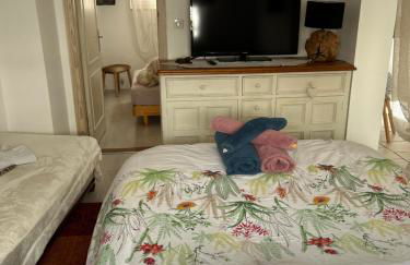 Gites des capucins centre ville Sélestat - Foto 8