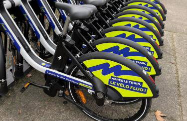 Nid d'émeraude - Votre escale cosy à Haguenau - Foto 30