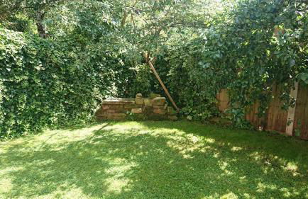 Cedar Place in Southwell - Foto 20