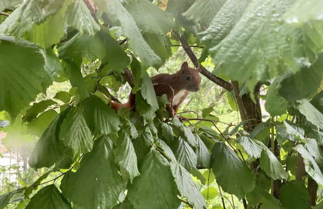 Cuddly Shell Modern Retreat - Foto 30