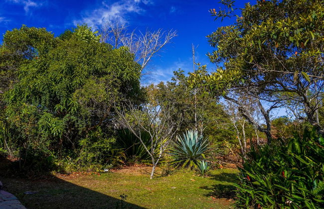 Terra Coral - Chapada dos Veadeiros - Foto 50
