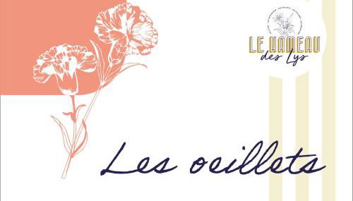 Le Hameau des Lys - 12min du PuyduFou - Photo 5