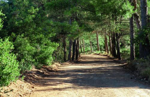 Forest Within - Wellness Villa in Archanes - Foto 22