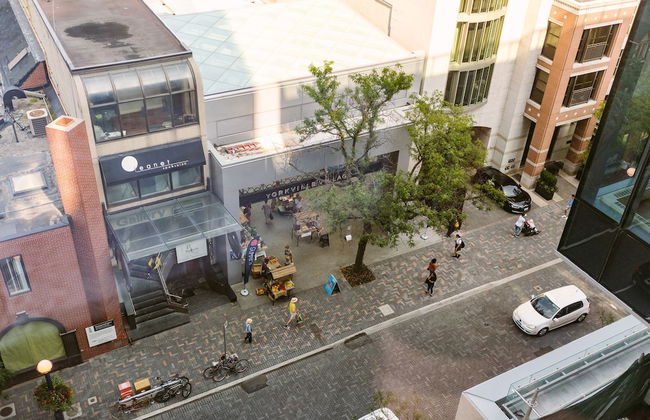 QuickStay - Enchantment in Yorkville - Yonge & Bloor - Photo 28