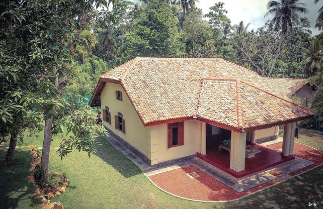 The Mugatiya - Foto 33