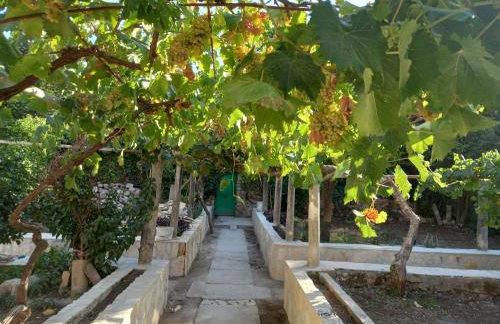 Loft release Ruby - Photo 33