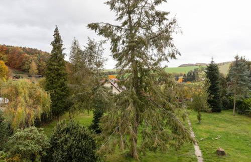 Ferienhaus im Thüringer Wald - Foto 29